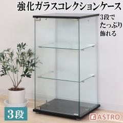 �R���N�V�����P�[�X 3�i ����~�߃V�[�g�t �t�B�M���A�P�[�X ����86cm �����K���X �S�ʃK���X �R���N�V���� �f�B�X�v���C �K���X�I ��^ 