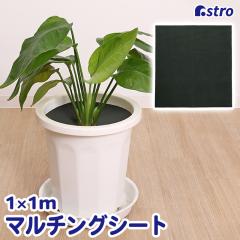 �A�X�g�� �h���V�[�g 1�~1m �ʋC���̗ǂ��s�D�z ���|�p�V�[�g �����V�[�g �G���h�~ ���� �Ռ� �J�b�gOK �ό�ܔz�� ������ �����x ���ϋv