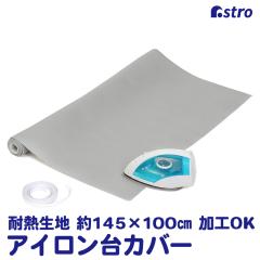 AXg ACp ϔMn 145~100cm Vo[ ACJo[ AC}bg A~R[eBO SЂt 821-87