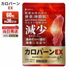 カロバーンEX サプリメント 栄養補助食品 ダイエットサポート 国産 健康食品 αリポ酸 コンブチャ ガルシニア 黒胡椒 イヌリン 酪酸菌 α