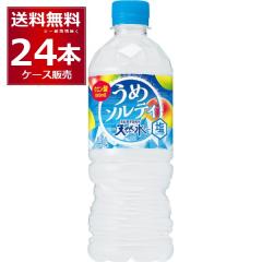 �T���g���[ �V�R�����߃\���e�B 540ml�~24�{�i1�P�[�X�j