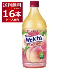 ATq EF` s[`100 800ml~16{(2P[X) [ꕔn͏]