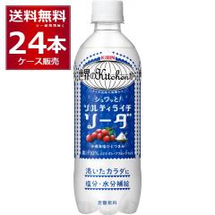 �L���� ���E�̃L�b�`������ �\���e�B���C�`�\�[�_ �y�b�g�{�g�� 500ml�~24�{(1�P�[�X) �M���Ǒ΍� �����⋋ �����⋋ �T�E�i �T�� Kitche