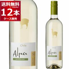 C wine ATq T^EwiEApJ \[BjEu C 750ml~12{[ꕔn͏]