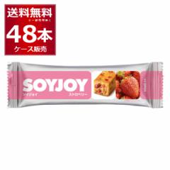 ː SOYJOY Xgx[ 30g~48{(1P[X)  [ꕔn͏]