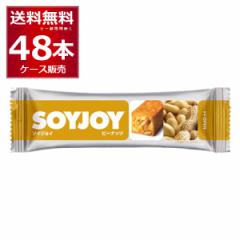 ː SOYJOY s[ibc 30g~48{(1P[X)  [ꕔn͏]