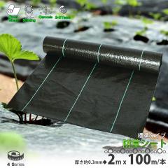 �h���V�[�g �� 2m�~100m 1�� ����0.3mm �_�p�V�[�g ���悯�V�[�g ���|�p�i DIY ���� �����V�[�g �G���h�~�V�[�g �K�[�f�j���O �� �c��� 