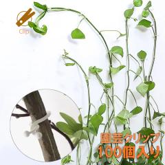 ���| �N���b�v 100���� �s�̕ی� ���|�p�N���b�v �Y���� ��|�� �x�� �ږ� �� �U�� ���|�p�� �K�[�f�j���O �}�~�� �� ���o���h ���� 