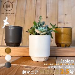 HATIMANIA ���}�j�A 2.5�� ���^�ې[�� �~�͔� ���{�� ���Z�� ���������₷�� ������ ���T�C�Y ���� �X�O �`���H�| �~�� �����A�� �T�{�e