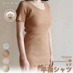 VߖD u Vc { 4FWJ I[KjbNRbg q Ci[  ɗD [EFA  Vc 100% L