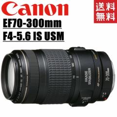 Lm Canon EF 70-300mm F4-5.6 IS USM tTCYΉ ]Y[Y ჌t J 