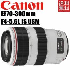 Lm Canon EF 70-300mm F4-5.6L IS USM ]Y tTCYΉ ჌t J 