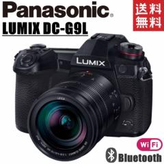 pi\jbN Panasonic LUMIX DC-G9L 12-60mm CJYZbg ~[X ჌t J 
