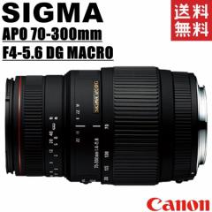 VO} SIGMA APO 70-300mm F4-5.6 DG MACRO Lmp ]Y[Y tTCYΉ ჌t J 