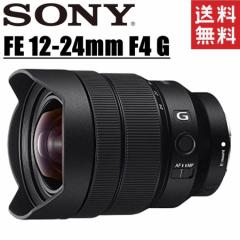 \j[ SONY FE 12-24mm F4 G SEL1224G E}Eg tTCY ~[X Y J 