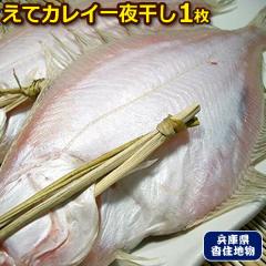 �R�A ���� �O�l�� ���Ă��ꂢ��銱�� �P�� �J���C �J���C�̊���