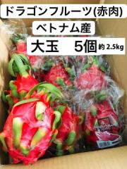 hSt[c ԓ xgiY  5 2.5kg 