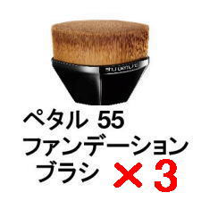 �������� �V���E�E�G���� �^ �y�^�� 55 �t�@���f�[�V���� �u���V 3�� shuuemura [ �������K�i ]