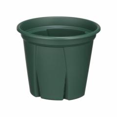 �A�b�v���E�F�A�[ �������悵 5�� �O���[�� GR ���{�� �X���b�g���� �A�ؔ� �v�����^�[ 4905980113725 �K�[�f�j���O ���|�p�i �ƒ�؉�