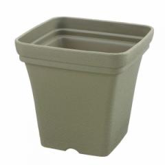 ���b�`�F�� �n�[�u�v�����^�[ �p30�^ �O���[�� ���|�p�i �A�ؔ� �V���v�� �x�[�V�b�N �v���X�`�b�N�� �p�^ ���{��