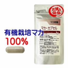 }J Tv bib L@͔|}J100% 1200mg }J鍑}JJvZ 120 maca lC LO 