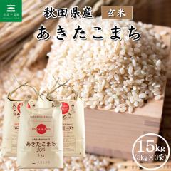 �� ���� ���� ���������܂� 15kg (5kg�~3��) �H�c���Y �ߘa7�N�Y �������� / �I�ׂ�v���[���g�t�� akg15