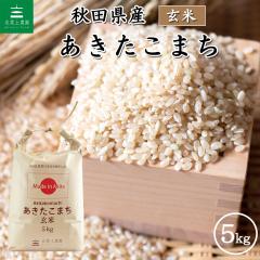 �� ���� ���� 5kg �H�c���Y ���������܂� �ߘa7�N�Y �������� / �Ñ��30g�t�� akg5