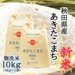 米 お米 無洗米 10kg (5kg×2袋) 秋田県産 あきたこまち 令和6年産 送料無料 / 選べるプレゼント付き akm10