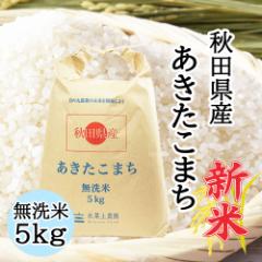 米 お米 無洗米 5kg 秋田県産 あきたこまち 令和6年産 送料無料 / 古代米30g付き akm5