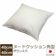 NbV k[hNbV 40~40 cm p^  _E RۖhLH SEK}[N擾 lp NbVg { Q \t@[ Ǐ X