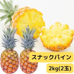 ���ꌧ�Y �{�S�[���p�C�� ��2���� 2�ʓ��� �Y�n���� ����y�Y �������� ���� �p�C�i�b�v�� �X�i�b�N�p�C�� �p�C���A�b�v�� �������ĐH��