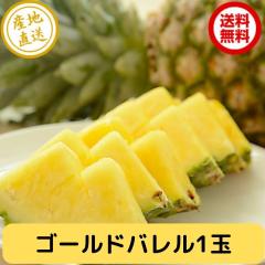���ꌧ�Y �p�C�� �S�[���h�o���� ��1.5kg 1�� ����y�Y �������� �Y�n���� ���� �p�C�i�b�v�� �����p�C�� �p�C���A�b�v�� �t���[�c �썑 