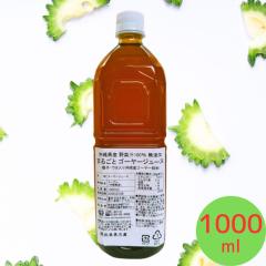 S[[W[X 1000ml ꌧY ܂邲 S[[W[X q ^ Y S[[  ؏`100 Y