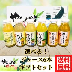 Ε Iׂ W[X6{ MtgZbg V[N[T[ 񂩂W[X pCW[X J[u`[ AGW[X 180ml~6{Zbg