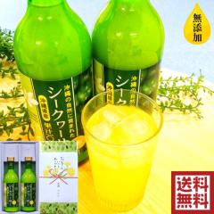 Ε V[N[T[蕨 ꌧYV[N[T[W[X500ml~2{Zbg  V[N[T[W[X Mtg W[XMtg