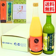 Ε ꌧYV[N[T[W[X 500ml  񂩂W[X 720ml 2{Zbg  Mtg W[XMtg v[g V[N