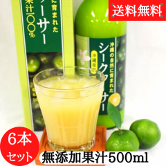 ���ꌧ�Y�V�[�N���[�T�[�ʏ`500ml 6�{�Z�b�g �������� ���� �؂� �V�[�N���[�T�[ ���t �V�[�N�A�[�T�[ 100���ʏ` ���Y���ʏ` 500�����r