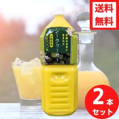 ꌧYV[N[T[ʏ`2k~2{ ybg{g mr` Lx ꌧY ؂ 100 V[N[T[ t W[X V[NA[