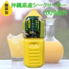 V[N[T[ ꌧYV[N[T[ʏ` 100 t W[X 2kꌧY ؂ V[NA[T[ V[N[T[ ݂W[X 