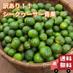 �V�[�N���[�T�[ �؂�V�[�N���[�T�[ 2kg ���ꌧ�Y �������� �Y�n���� ������ �󂠂� B���i ����� �Ē��̊���� ����݂��� �V�[�N�A�[
