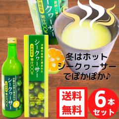 ꌧYV[N[T[ʏ`500ml 6{Zbg   ؂ V[N[T[ t V[NA[T[ 100ʏ` Yʏ` 500r