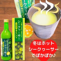 V[N[T[ ꌧY V[N[T[ʏ` 500  ؂ V[N[T[ t V[NA[T[ 100ʏ` Yʏ` 500r