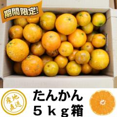 �󂠂� ���ꌧ�Y���񂩂�5kg �������� �����{�I ���� ���񂩂� �^���J�� �󂠂� B���i ���� �Â� �������� �݂��� ����݂��� ��������1