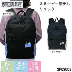 �X�k�[�s�[ �����b�N �f�B�p�b�N �o�b�N�p�b�N PC�|�P�b�g �^�u���b�g �Z�L�����e�B�|�P�b�g �ʊw �ʋ� ���s �e��30L ���� D�J�� �C�w��