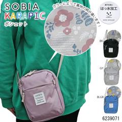 �V�����_�[�o�b�O �~�j �R���p�N�g �|�V�F�b�g �΂ߊ|�� �J���s�b�N ���s �s�y ���ł��� ������ �ʊw �ʋ� �U�� ���f�B�[�X �w�� ��w �V