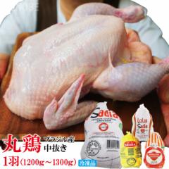 ی{@1H[Xg`LpȂǂɁ@1200g`1300gⓀuWY@ے@O[TQ^@Ył͂Ȃ@ n[F Halal