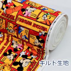 y10cmPʉiz ~bL[tY Disney fBYj[ 100 Lg LeBO n z 110cm w 䂤pPbg0.5