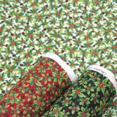 y10cmPʉiz NX}X qCM A NX}Xz[[ Christmas RbgV[`O 100 n z 108cm 䂤pPbg2.