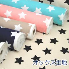 y10cmPʉiz VvX^[  IbNX 100 n z 110cm | nhCh  䂤pPbg2Ή