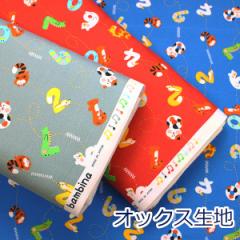 y10cmPʉiz Aj}io[Y bambina or[i   IbNX 100 n z 110cm 142-1346-A 䂤pPbg2